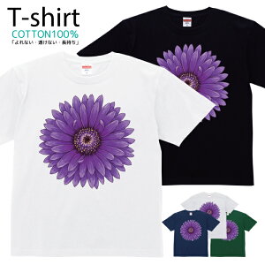 TVc Y fB[X  t[ ԕ ԑ  Aj} LN^[  LbY Rbg 100 vg 100TCY 120TCY XXS XS S M L XL 5.6IXjZbNX tVc 