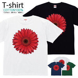 TVc Y fB[X  t[ ԕ ԑ  Aj} LN^[  LbY Rbg 100 vg 100TCY 120TCY XXS XS S M L XL 5.6IXjZbNX tVc 