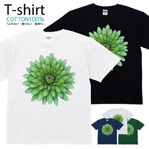 TVc Y fB[X  t[ ԕ ԑ  Aj} LN^[  LbY Rbg 100 vg 100TCY 120TCY XXS XS S M L XL 5.6IXjZbNX tVc 