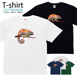 TVc Y fB[X JI JI ঒ LN^[  LbY Rbg 100 vg 100TCY 120TCY XXS XS S M L XL 5.6IXjZbNX tVc  