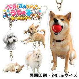 オリジナルキーホルダー ペット 写真 キーホルダー アクリルキーホルダー うちの子グッズ 名入れ 犬 猫 グッズ 両面印刷 オーダーメイド キーホルダー 写真から作る ペットグッズ プレゼント かわいい オリジナルグッズ ギフト ペット用品 ペット雑貨 ペット記念品 ak019