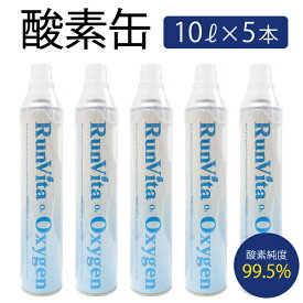 楽天市場 酸素 吸入器 10lの通販