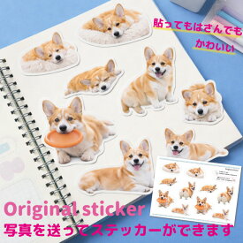 オリジナルステッカー シール オリジナルシール オリジナルグッズ ギフト プレゼント 愛犬グッズ うちの子グッズ ステッカー ペット 犬 猫 ステッカー プレゼント オリジナルグッズ うちのこ ステッカー 写真 オリジナル zakka048