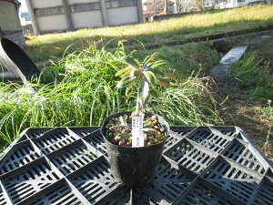 R07-012 NV}VNiQ w Δn x ږ1N Γ c c _  A LO t gt  