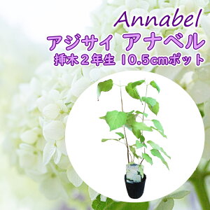 AWTC Aix c y Aix z}ؕc 10.5cm|bgc c mAWTC AJmmL AJ ChnChWA z  A Ԗ t  _   