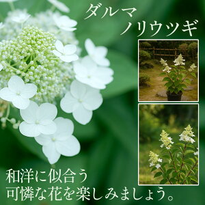 mEcM c y _}mEcM z4(12cm|bg)c c s~bhAWTC  A Ԗ t  _   V{c[ LO v[g Mtg