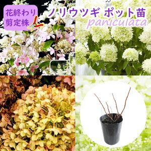 yԏI虒芔zIׂi y mEcM ( s~bhAWTC ) z9cmO|bgc c AWTC z ~idL  A Ԗ t  _   V{c[ LO 