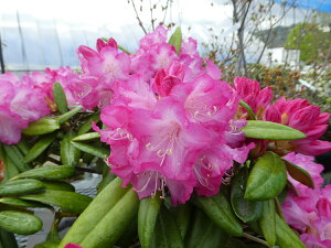 Qt R07-014 Ad}VNiQwg2x ږ1N Γ c c _  A LO Ύ gt  