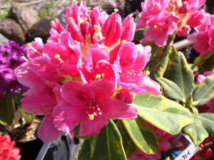 Qt R07-028 mVNiQwRRhJCx ڂ1N@Γ c c _  A LO Ύ gt  