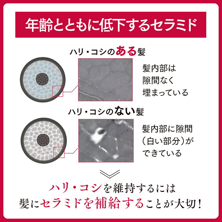 市場】アスタリフト スカルプフォーカス シャンプー 360ml 【FUJIFILM 公式】(ASTALIFT) カラー パーマ 頭皮 ハリ コシ スカルプ スキャルプ ノンシリコン 抜け毛 美髪 乾燥 フローラルハーバル エコ 送料無料 あす楽 富士フイルム : FUJIFILM アスタリフト 公式ストア 市場】アスタリフト スカルプフォーカス シャンプー 360ml 【FUJIFILM 公式】(ASTALIFT) カラー パーマ 頭皮 ハリ コシ スカルプ スキャルプ ノンシリコン 抜け毛 美髪 乾燥 フローラルハーバル エコ 送料無料 あす楽 富士フイルム : FUJIFILM アスタリフト 公式ストア