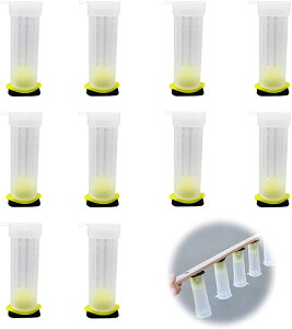 I P[X 10 ~co` IW鑕u I ~co`  {Iu  I ݂΂ {Ip Lb`[P[W {I ֗ {I Ipi ILb`