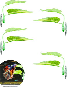 4_ZbglH zՂg ^NfR[V ɐBp lHA  Zbg