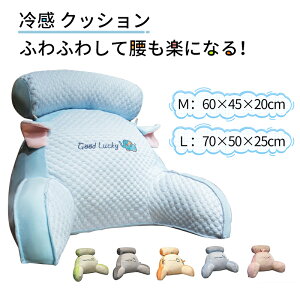 yTCYF60×45cmz ACXVN 2in1@\ ⊴ NbV 60×45×20cm @\NbV ۂNbV Ȃ zc zcNbV ֎qNbV  NbV 