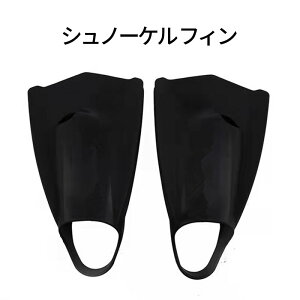 Vm[P tB Vm[PO jK htBt[g XC~O KptB Ђ g[jO LTCY j q C v[ RpNg ql܂