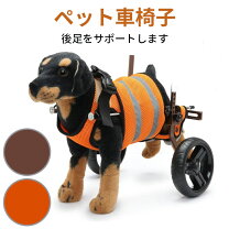 楽天市場】犬 補助 輪の通販 