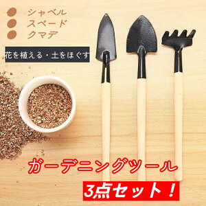 園芸工具 3点セット 花育て 熊手 野菜栽培 庭園栽培用 木製用品 手植え 除草 多肉 スコープ工具 盆栽用品 スコップ本 ツール シャベル本 盆栽用品