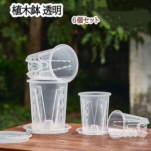 Aؔ vX`bN Xbg  ϗtA  Mt 6Zbg