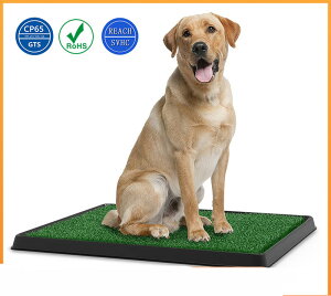  gC g[  X[p[ Ch Ő 2Zbg