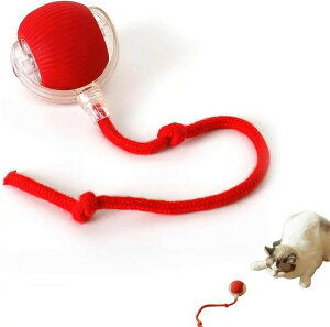 L   L{[ L {[ dC USB [dt 360 x][O {[ C^NeBuȔLp{[ Lptd