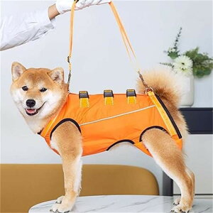  n[lX s⏕ pn[lX EȒP V//p//aC  n[lX ̑Oƌ둫̕⏕ pn[lX Up o֗