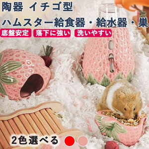 nX^[ nEX B nX^[  炵C`S^ 퐻 ƂĂgp\ |֗ Kł킢 􂦂  ėpɍœK ЂƂG [ł