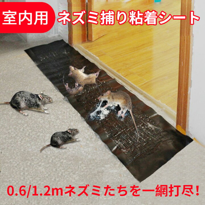 楽天市場】ネズミ捕り 粘着シート 0.6m 1.2m 長い 大判 業務用 室内用 