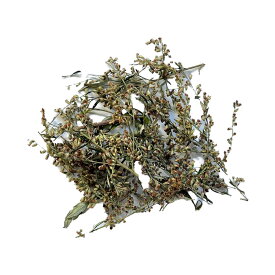 【ヨモギ】天然 農薬不使用 ドライハーブ 国産 量り売り ハーブ ホール シングルハーブ ハーブティー お茶 よもぎ よもぎ茶 蓬 蓬茶 花 新芽 和ハーブ お試し 大容量 業務用 乾燥 おうち時間 デカフェ ノンカフェイン 山梨県産 herb tea