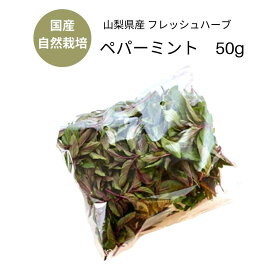 楽天市場 モヒート ティーの通販