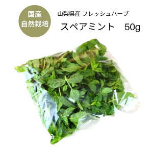 ハーブ ミント その他の野菜 きのこの人気商品 通販 価格比較 価格 Com ハーブ ミント その他の野菜 きのこの人気商品 通販 価格比較 価格 Com