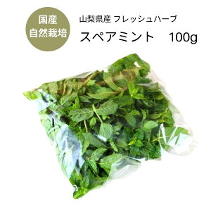ミント 野菜 きのこの人気商品 通販 価格比較 価格 Com