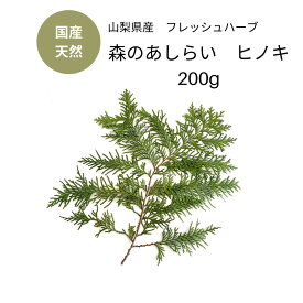 楽天市場 料理 飾り 葉の通販