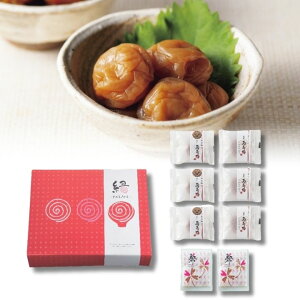 25%OFF EIB썂~׃ZbgB IB썂~  Mtg o  EGfBO o^C ̓ ̓MtgZbg ԂMtg A  ސE mxeB ii ei p