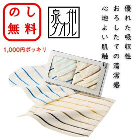 のし無料 1000円ポッキリ 泉州抗菌防臭タオルハンカチ2P 送料無料 泉州タオル ギフト 御中元 お歳暮 贈呈品 贈答用 記念品 粗品 イベント 出産祝い 結婚祝い 内祝い プレゼント 快気祝い 結婚式 お返し 御礼 挨拶 友人 親戚 暑中見舞い 初盆 退職 タオル 香典返し