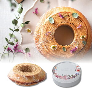 25%OFF t[Oo[ o[N[w Mtg A 񎟉  EGfBO o^CP[L zCgf[ A  ސE mxeB p[eB  Cxg   