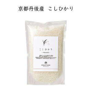 TSUTSUMI ̌b ăMtg ߂҂肩 ܂ ЂƂ߂ڂ P Ђ ӂƂ C~ Cj jMtg 񎟉 ei St Ry ii LOi  A  