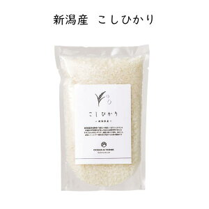 TSUTSUMI ̌b ăMtg ߂҂肩 ܂ ЂƂ߂ڂ P Ђ ӂƂ C~ Cj jMtg 񎟉 ei St Ry ii LOi  A  