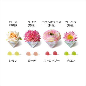 25%OFF }[t[(t[c[[) 1   EGfBO WEDDING A  ސE mxeBObY p[eB َq  zCgf[ o^C Cxg v`Mtg 