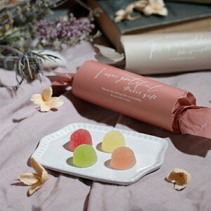 25%OFF tF~[ v`it[c[[j1   EGfBO A  ސE  mxeB p[eB َq NbL[  zCgf[ o^C Cxg v`