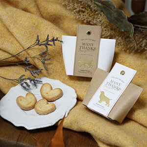 25%OFF `[~[ybcIIv`in[gpC~jj1 CHARMY PETS!!   L  EGfBO A  ސE Ǝ p[eB َq NbL[ zCgf[ o^C Cx