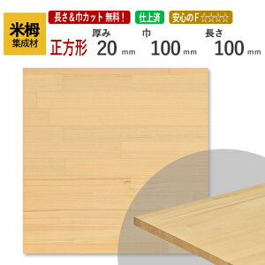 Ē JbgWށi`j@20mm×100mm×100mm [E I[_[JbgI]@/ [ޓA~`HA΂߃JbgAfʉHAhȂǂ̒ǉHOKI//CW/DIY/I/