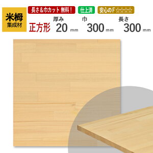Ē JbgWށi`j@20mm×300mm×300mm [E I[_[JbgI]@/ [ޓA~`HA΂߃JbgAfʉHAhȂǂ̒ǉHOKI//CW/DIY/I/