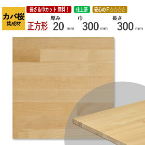 Jo JbgWށi`j@20mm×300mm×300mm@[E I[_[JbgI]@/@[ޓA~`HA΂߃JbgAfʉHAhȂǒǉHOKI /CW/DIY/jH