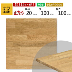 i JbgWށi`j@20×100×100mm [E I[_[JbgI]@/vDIYl؍/؍/CW/ԑ/֎q̍/DIY/jH/dĂƂ؍