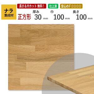 i JbgWށi`j@30×100×100mm [E I[_[JbgI]@/vDIYl؍/؍/CW/V//ԑ/֎q̍/DIY/jH/Vɂ߁I