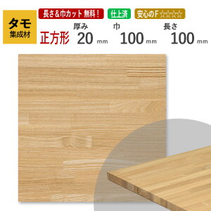 ^ JbgWށi`j 20mm×100mm×100mm [E I[_[JbgI]@/@[ޓA~`HA΂߃JbgAfʉHAhȂǒǉHOKI ^ Cϑw ؍ DIY mx[V