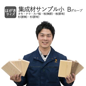 【B】集成材（木材）サンプル ・はがきサイズ / タモ・ナラ・カバ桜・桧（無節）・桧（節）・杉（無節）・杉（節） / Bグループ厚みのご指定はできません。
