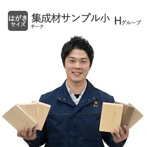 yHzWށi؍ށjTvE͂TCY / `[N /HO[v݂̂w͂ł܂B