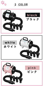 rXIy1000~N[|zybghC[ phC[@~JU@@Lk\z[X hofUC@啗ʁ@u[ } ጸ ^ɍœK@