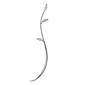 yǏzEH[fR[V u`WS-20D