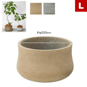 v^[ A^[520×H320mm eʖ53Liꌊj v^[Jo[ Aؔ O[|bg  Vv_fUC CgZg  }bg